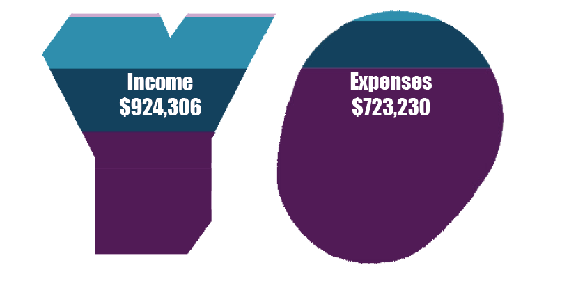 Two geometric shapes displaying financial figures in the 2020 Impact Report: a blue "v" labeled "income $924,306" and a purple oval labeled "expenses $723,230