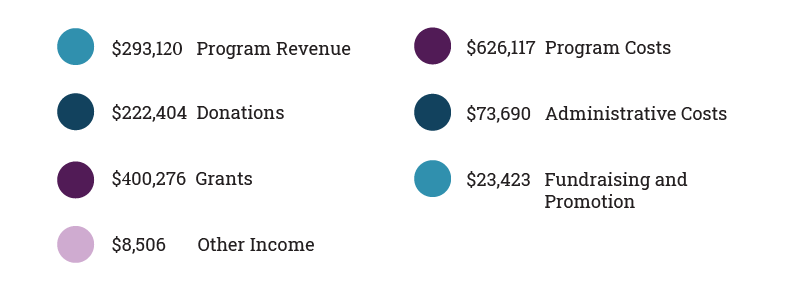 2019/2020 Impact Report showing a financial summary with colored circles next to text labels for program revenue, costs, donations, administrative costs, grants, and fundraising.